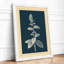 Classical Study Botanical - Framed Print-1029721701-1029721703