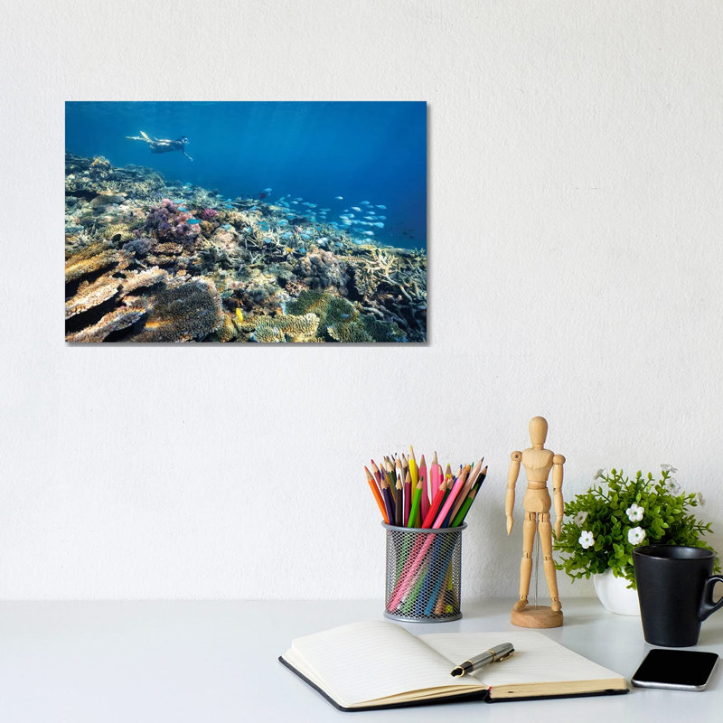 Underwater Reef With Snorkelling Girl by James Vodicka - Wrapped Canvas Gallery-Wrapped Canvas Giclée, 20.32cm H x 30.48cm W