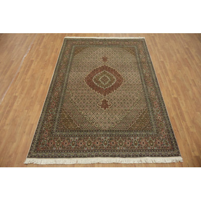 Traditional Style Area Rug 6x10