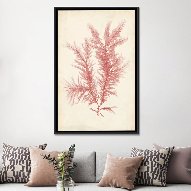 «Coral Sea Feather II», reproduction sur toile, H 26 po x l 18 po x P 1,5 po, Toile avec cadre noir, Pas de tapis