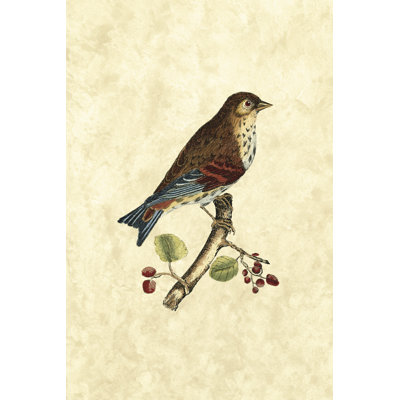Selby Birds III 1 Piece Wrapped Canvas Painting