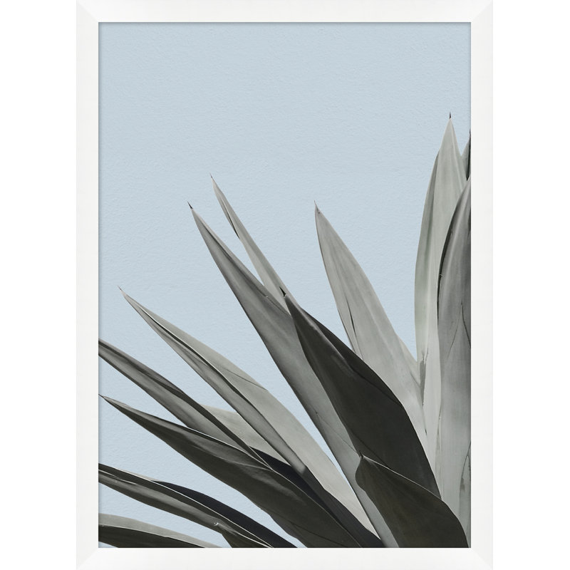 Agave Color 5 Print by Nathan Turner