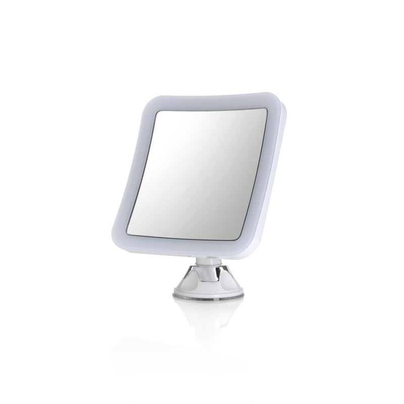 Alliviah Concave Wall Mirror