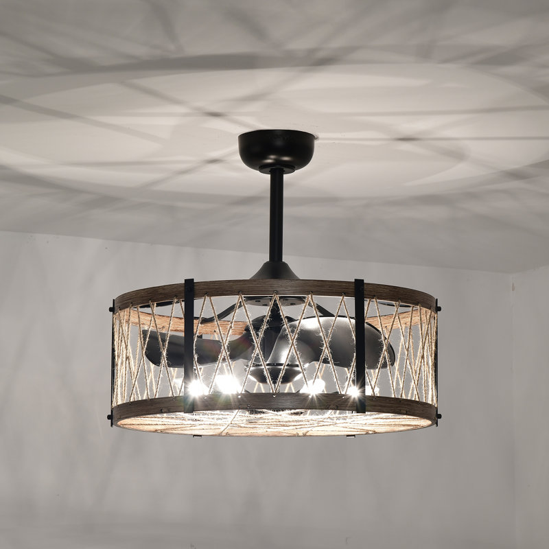 Deonne 22'' Ceiling Fan with Light Kit