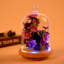 Pleasanton Cloche Or Water Globe-1983173279