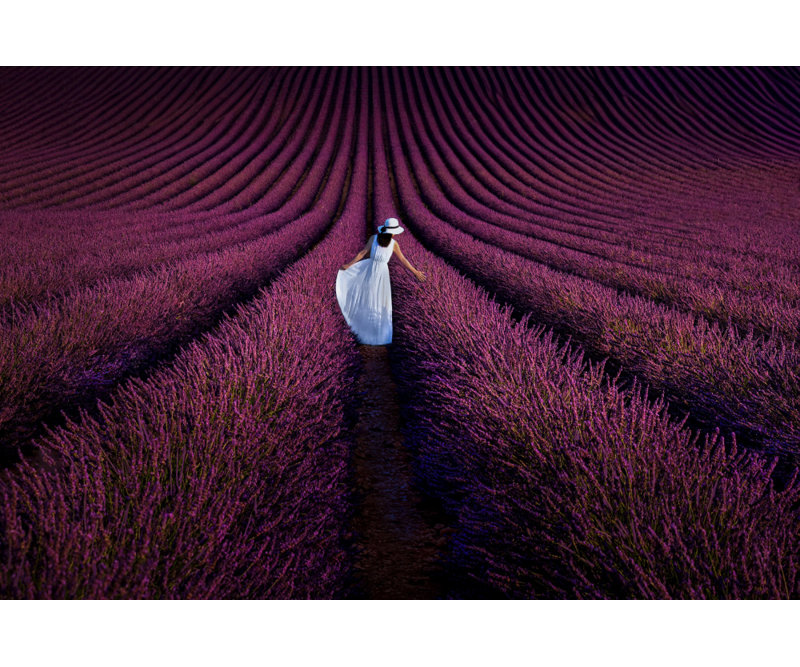 Wrapped Canvas Print, 60.96cm H x 91.44cm W