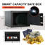 File Safe Dual Lock