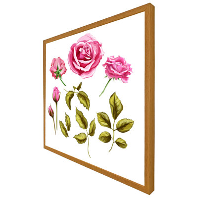 Curcio Roses And Leaves - Single Picture Frame Print