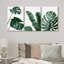 Minimal Botanical Vibrant Green Monstera and Banana Leaf Trio Botanical-72966493-72966494-119390341