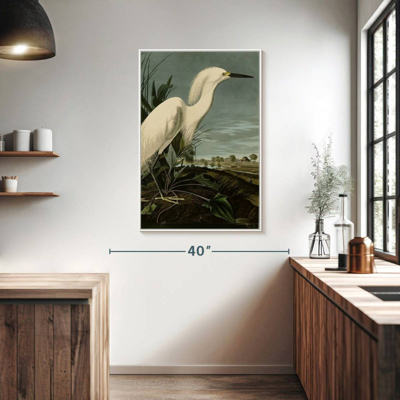 Snowy Heron Or White Egret, Floating Frame White, 27" x 40"