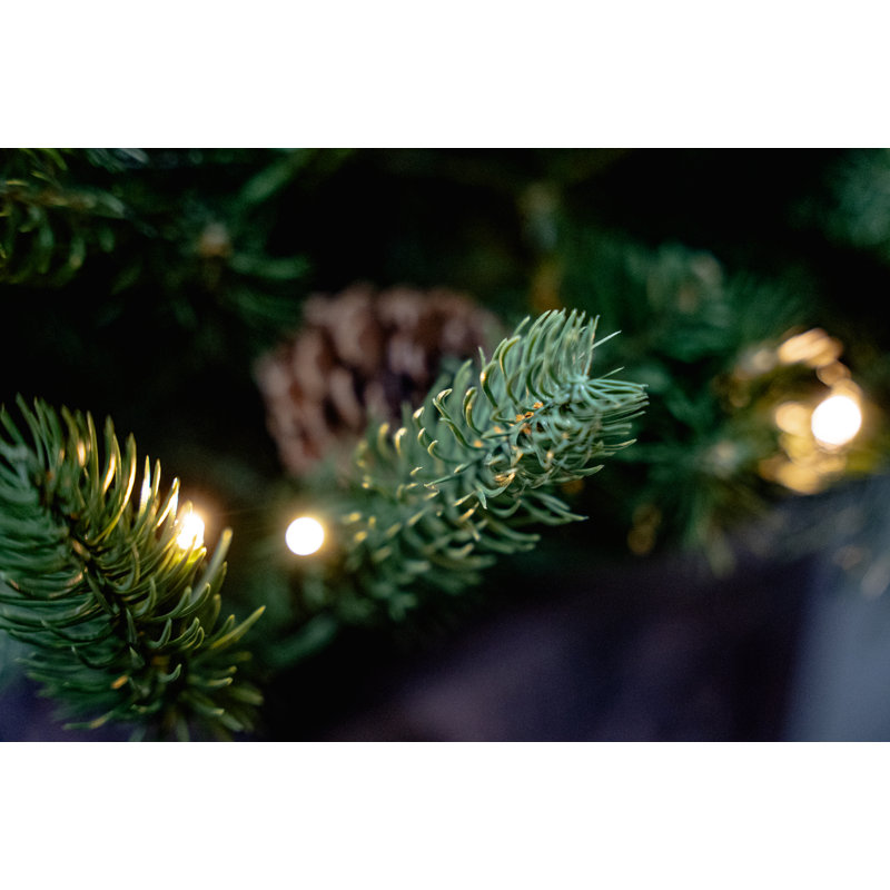 HAZELNUT PINE PORCH - Artificial Potted Christmas Tree