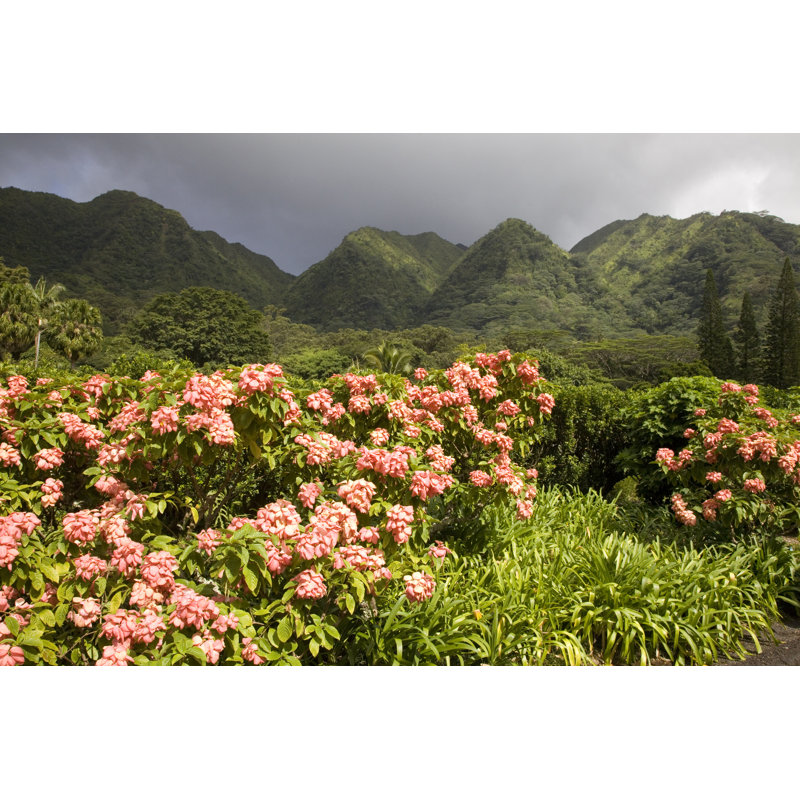 Botanical Gardens by LisaStrachan - Wrapped Canvas Print, 30cm H x 46cm W