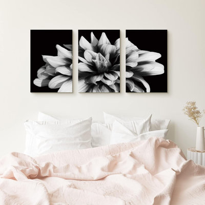 Flower Blossom «Black and White Chrysanthemum Flower», 3 pièces sur toile