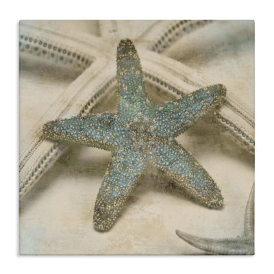 'Starfish' by Ziwei Li - Photograph Print