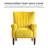 Kishmore Velvet Armchair Indoor Modern Upholstered Accent Chair for Your Living Room-644565212