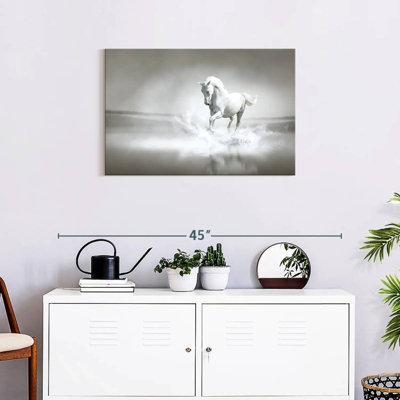 Brampt Horse On Beach