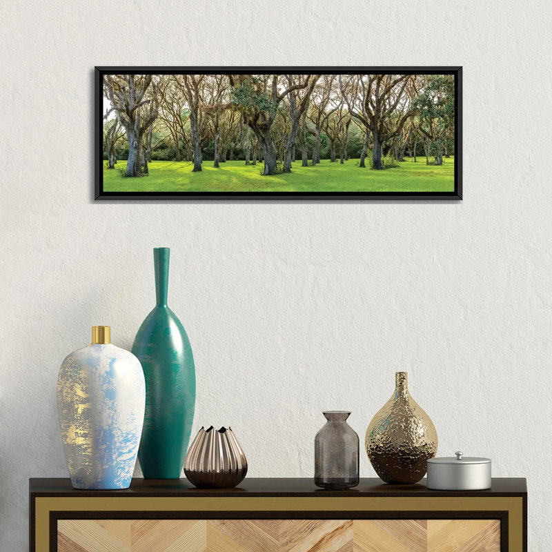 « tree », reproduction de photo sur toile, H 24 po x l 72 po x P 1,5 po, Toile encadrée noire