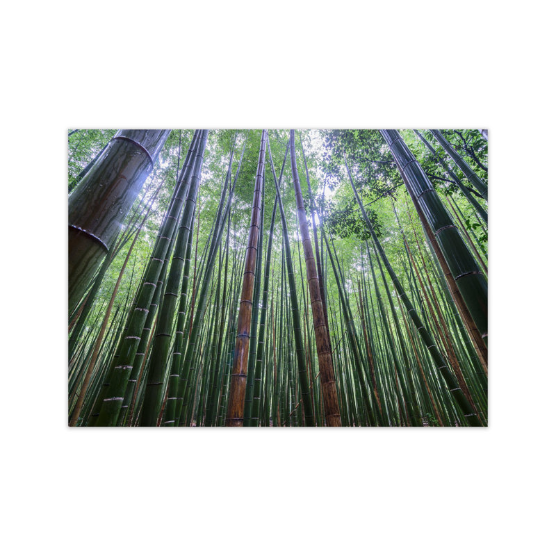 Tall by Karsten Wrobel - Print on Canvas, 30cm H x 42cm W x 1cm D, Unframed