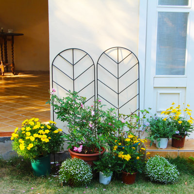 Ensemble de 2 treillis de jardin H 45 po x l 15,9 po Arlmont & Co.