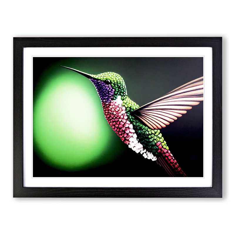 Bold Hummingbird - Single Picture Frame Print, Black Framed, 46cm H x 64cm W x 2cm D