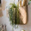 Plante usnea artificielle-1023420030