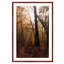 Misty Forest Print by Ted Glasoe