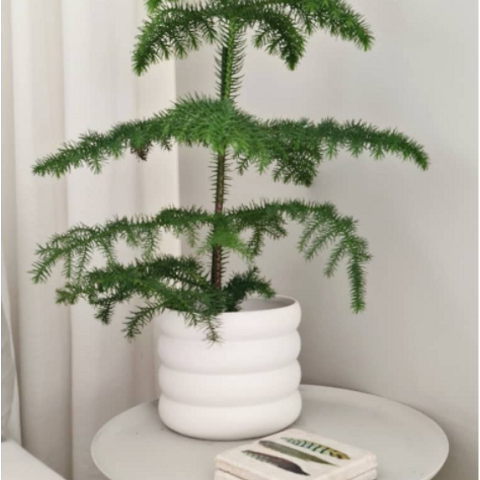 4" Ceramic Pot Planter, 3.94" H x 3.94" W x 3.94" D, White