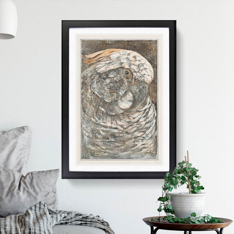 Head of a Parrot by Theo Van Hoytema - Framed Print, Black Framed, 65cm H x 48cm W x 2cm D