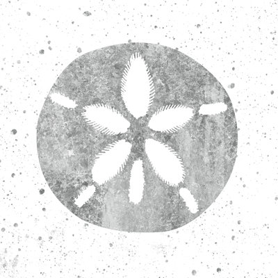 Argent argenté Sea Sand Dollar