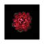 «In Red», impression sur toile-21492440-72009025