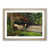 Oak Framed selected