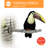 One-of-a-Kind Bird Perch for Inside Cage-4769179