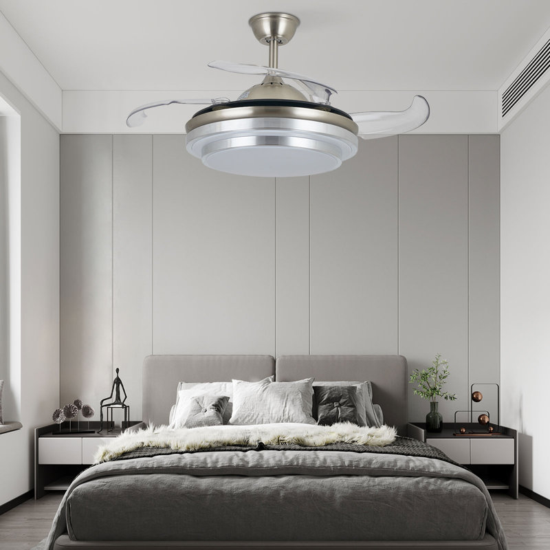 Junito 36'' Ceiling Fan with LED Lights