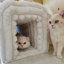 Fournitures pour animaux en velours côtelé-1684647554