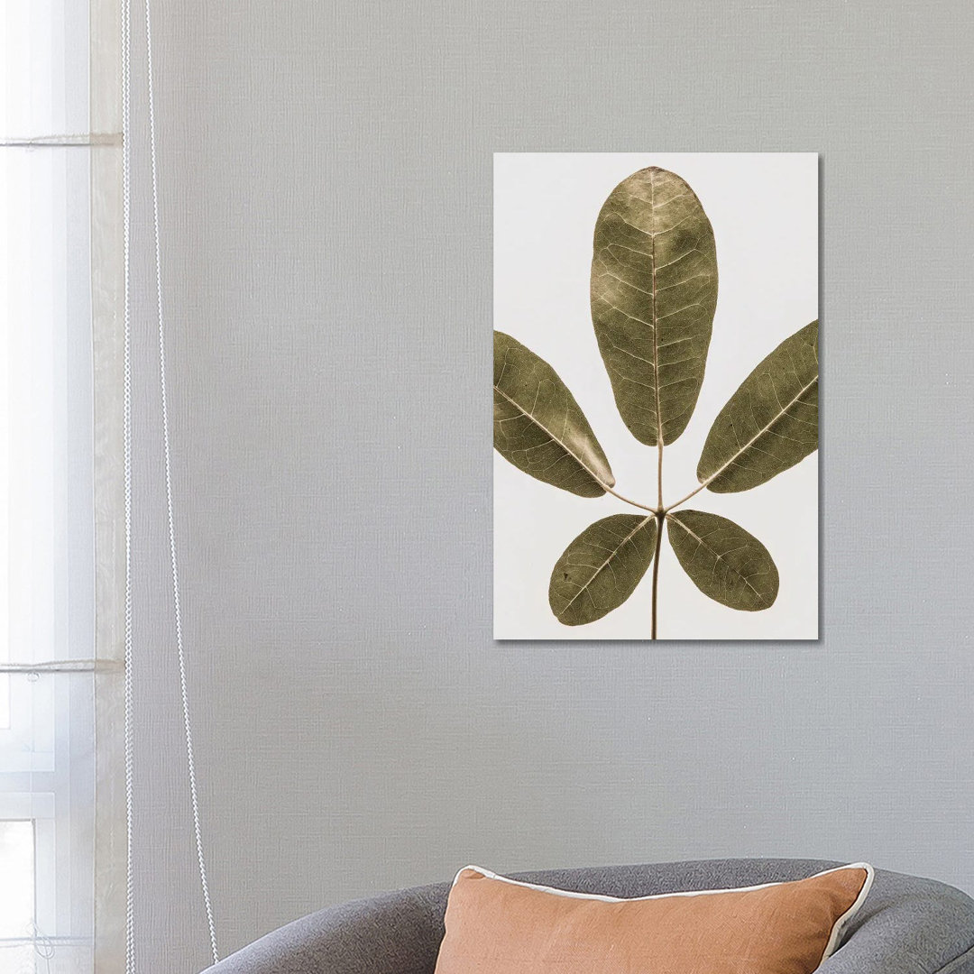 Autum Leaf von Shot By Clint - Gallery-Wrapped Canvas Giclée on Canvas