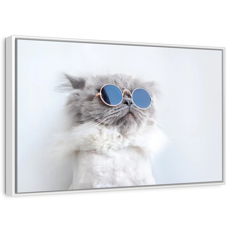 Chat frais, Cadre flottant blanc, 40 po x 27 po