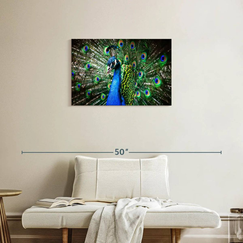 Brampt Peacock Show, 20" H x 30" W