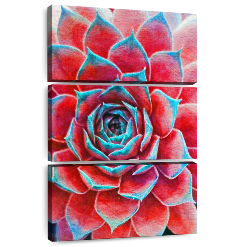 Harnek Crimson Succulents, H 57 po x l 36 po