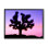 «Crescent Moon Tree Silhouette» encadré sur bois par Dennis Frates, photographie