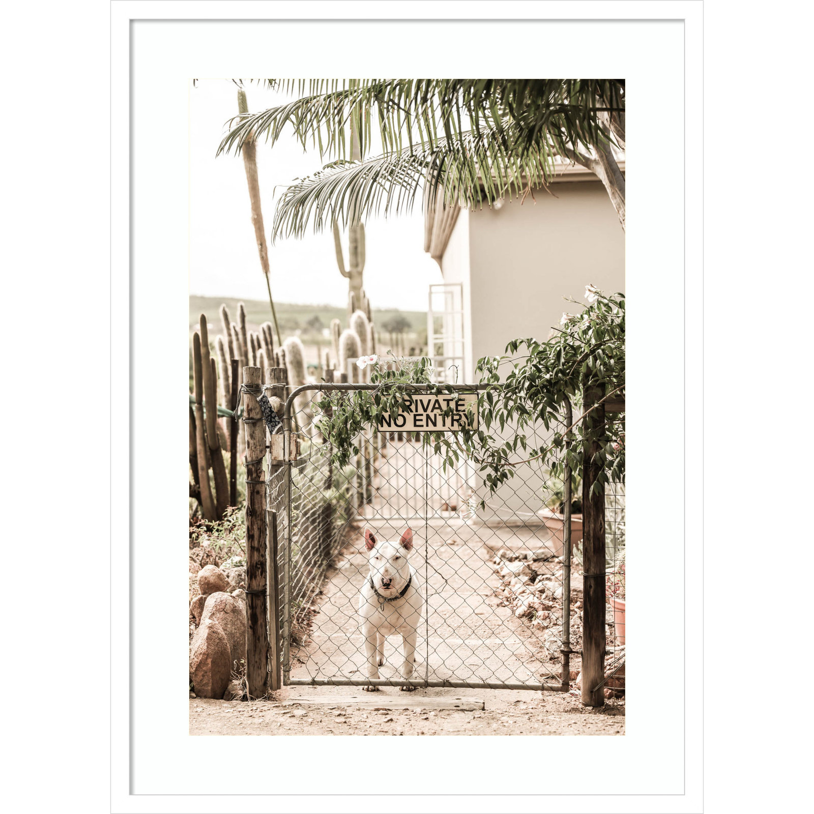 No Entry by Shot by Clint Wood Framed Wall Art Print, 33" H x 24" W, White