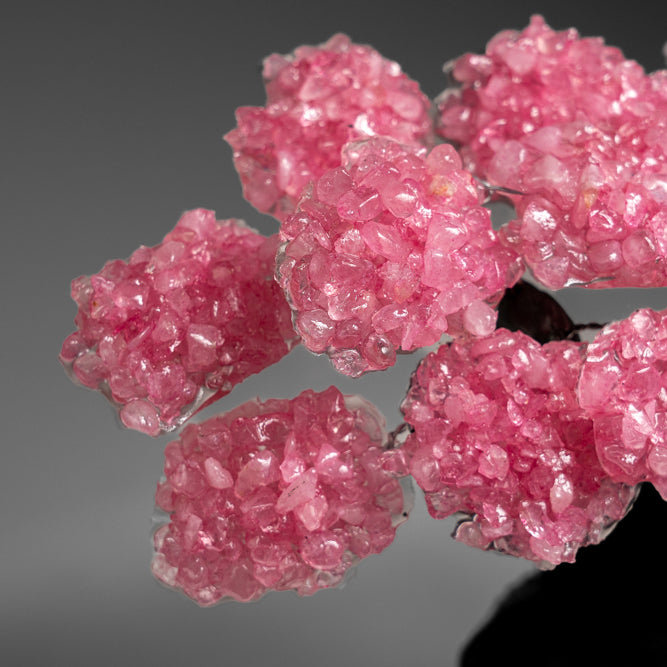 Custom - Genuine Rose Quartz Clustered Gemstone Tree On Rose Quartz Matrix (Unconditional Love Tree)
