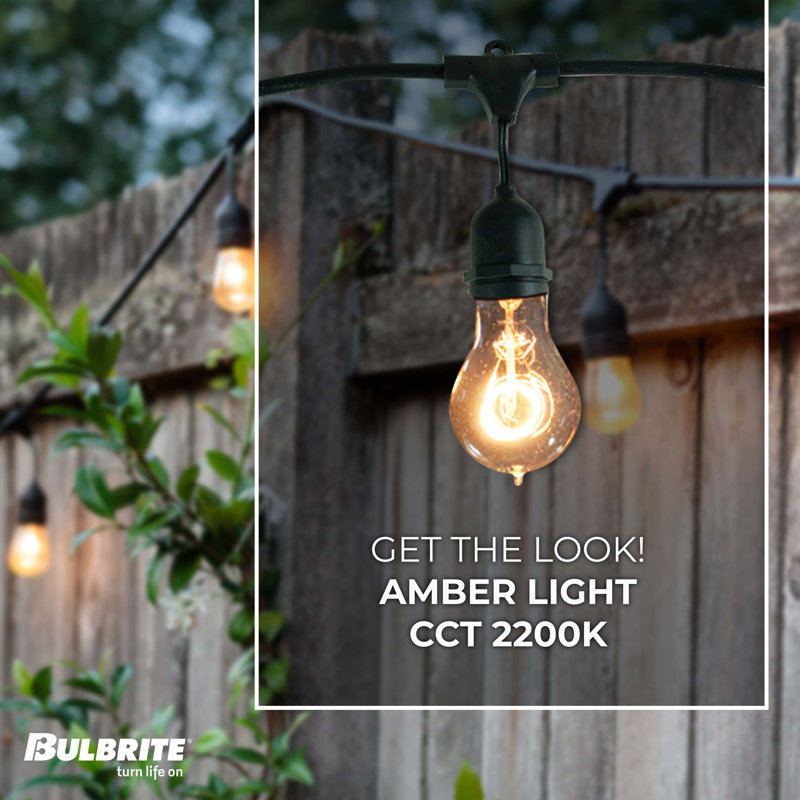48-ft Outdoor 15 - Bulb Standard Incandescent String Light (End to End Connectable)