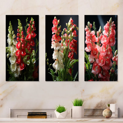 Snapdragons Serenade I - Snapdragons Metal Wall Decor Set Of 3
