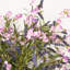 Arrangement floral 24 po H-1352001552