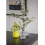 Flora Handmade Glass Table Vase-2062870521-2062870522