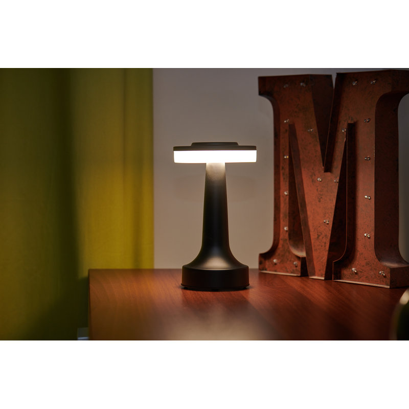 Metal Novelty Lamp, Black