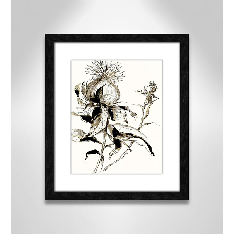Botanical Seed II par - impression, Cadre noir, H 15 po x l 13 po x P 0,75 po