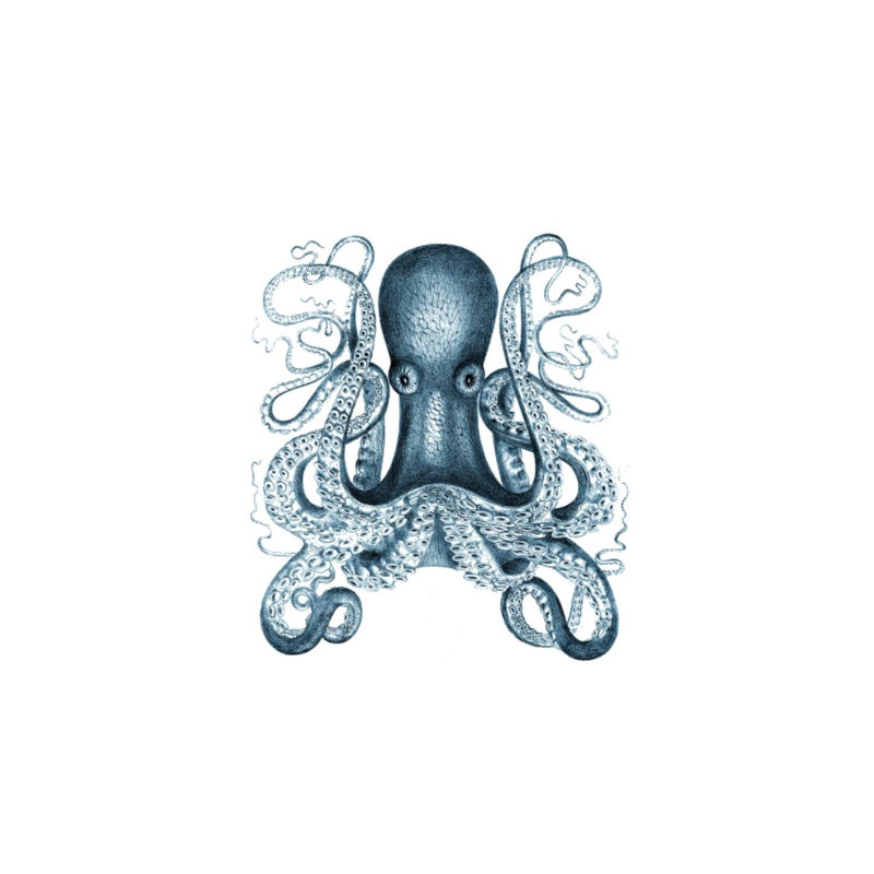 Blue Ink II Print by Sofia Fox, Outdoor, 26" H x 20" W