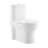 Monaco One-Piece Elongated Toilet Dual-Flush 1.1/1.6 gpf-121372818-121372822-121372823
