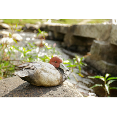 MALLARD WITH RED HEAD